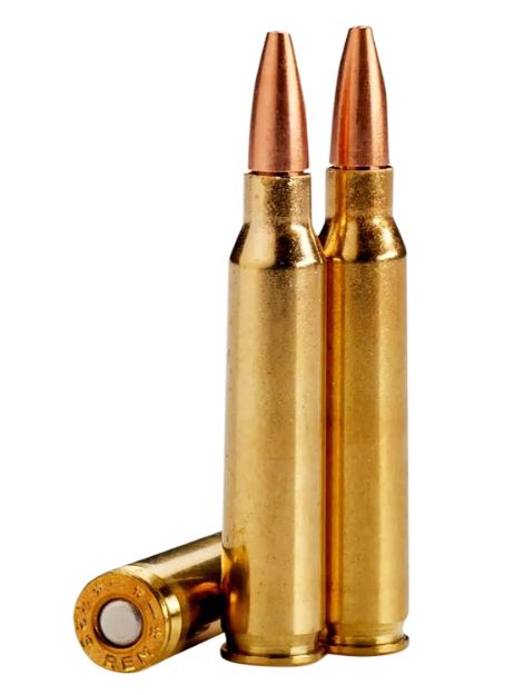 Picture of 223 Remington 55Gr Copper Hollow Point 20/Box