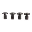 Picture of Turbo Screws (4) Full Size