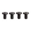 Picture of Dpl Screws(4) Full Size