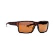 Picture of Explorer Tortoise Frame Bronze Lens
