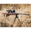 Picture of Model 70 Super Grade 308 Winchester 22'' Bbl 5 Round Walnut