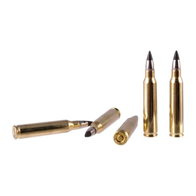Picture of Silvertip 223 Remington 64Gr Defense Tip 20/Box