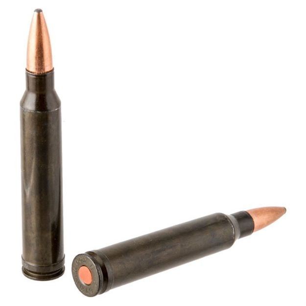 Picture of Rifle Training Cartridge 300 Winchester Mag (2 Ct)