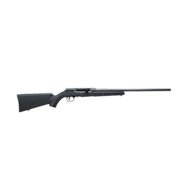Picture of A17 17 Hmr 22” Bbl (1)10 Rd Mag Gray