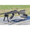 Picture of Savage A-Series 25Rd Magazine A22lr Blk