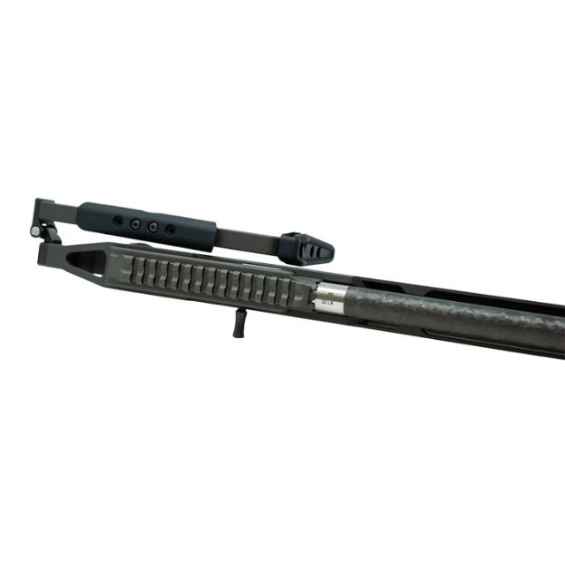 Picture of Ldr 22 Long Rifle 16.1'' Bbl (1)10Rd Mag Folding Stock Gray