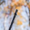 Picture of Hellfire-Ti 30 Cal Self Timing Muzzle Brake Gray Titianium