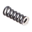 Picture of Inner Extractor Spring-For Xp 5-Coil Extractor Spring