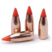 Picture of V-Max 17 Caliber (0.172'') 25Gr Polymer Tip Flat Base 100/Box