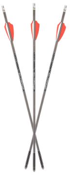 Show details for AXE AX10004 BOLT CMBO PK(3 BOLTS&3 LHTED NOCK Picture of AXE AX10004 BOLT CMBO PK(3 BOLTS&3 LHTED NOCK