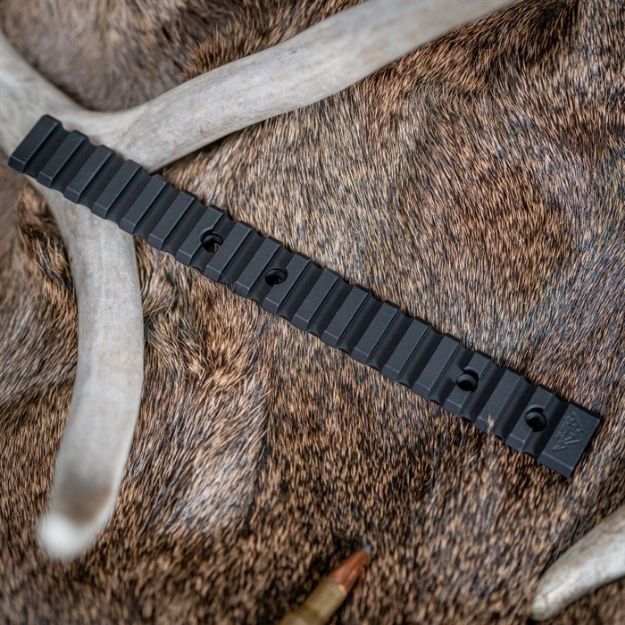 Picture of T1x Extended Rail 20 Moa