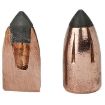 Picture of Premium Trophy Copper 20 Gauge 2-3/4'' 275Gr Sabot Slug 5/Box