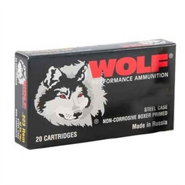 Picture of 223 Remington 55Gr Hollow Point 20/Box
