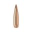 Show details for Nosler Bulletsrdf 7Mm 185 Hpbt (100 Ct) Picture of Nosler Bulletsrdf 7Mm 185 Hpbt (100 Ct)