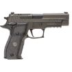 Picture of P229 Legion Comp 9Mm Luger 3.9'' Bbl (3)10Rd Mags Da/Sa