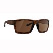Picture of Explorer Xl Tortoise Frame Bronze Lens