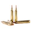 Picture of Black 204 Ruger 40Gr V-Max Polymer Tip 50/Bx