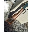 Picture of Golden Boy 22 Lr 20'' Bbl 16 Round Trump Engraved