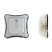 Picture of UNITY SPARK LIGHT WHITE