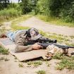Picture of EVODS COMPETITION SHOOTING MAT COY