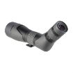 Picture of Sx-2 Alpine 20-60X80 Angled