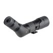 Picture of Sx-2 Alpine 20-60X60 Angled
