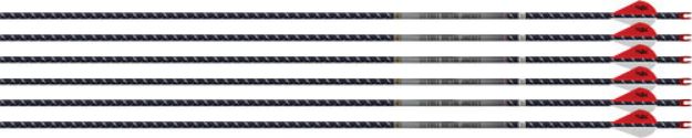 Picture of Easton Arrow 4Mm Fmj 300 6-Pack W/ 2" Blazer Vanes