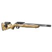 Picture of Ruger 10/22 Competition 22Lr 16.12" Ss Fluted Laminated