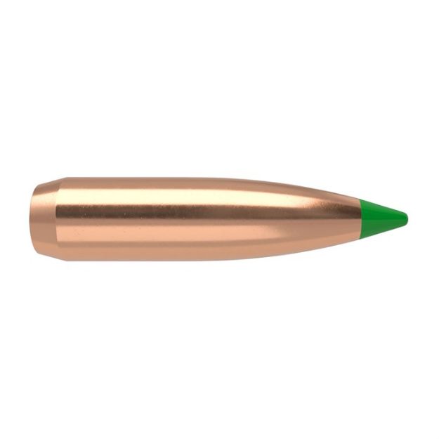 Picture of Nosler Bullets 30 Cal .308 180Gr Ballistic Tip 50Ct