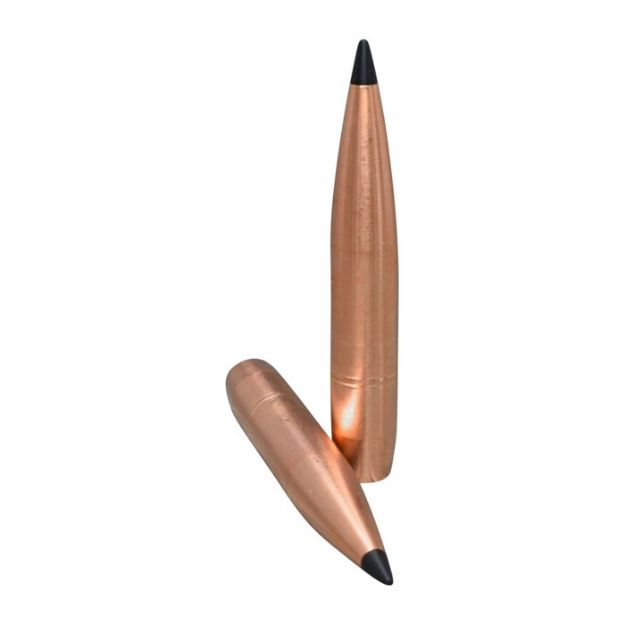 Picture of 375 Caliber (0.375'') 425Gr Tipped Hollow Point 50/Box