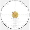 Picture of Mark 5 5-25X56 De Tremor3 Mil