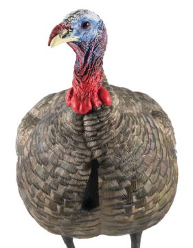 Show details for Avian X Lcd Quarter Strut Jake Decoy Picture of Avian X Lcd Quarter Strut Jake Decoy