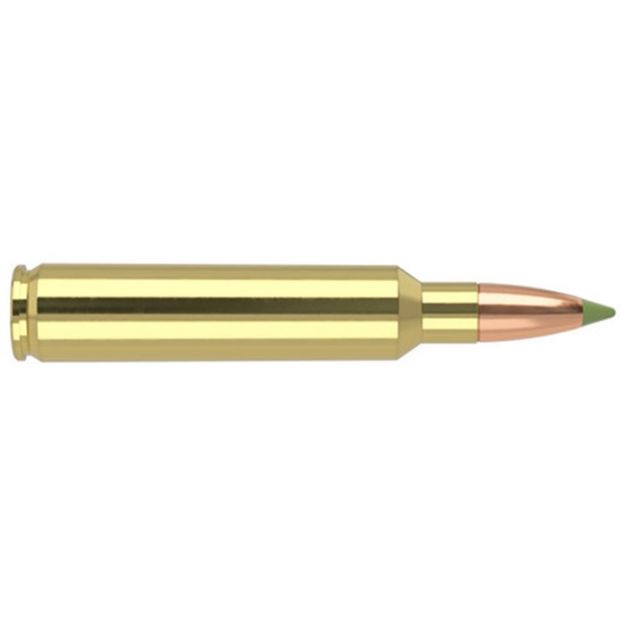 Picture of NOSLER E-TIP 30NOS 180GR 20/200