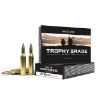 Picture of NOSLER TG 243WIN 100GR PT 20/200