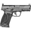 Picture of S&W M&P 10Mm M2.0 4" Fs 15-Shot Armornite W/Safety