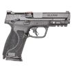 Picture of S&W M&P9 M2.0 9Mm 4.25" Fs 10-Shot W/Ts & Tlci Ca Legal!