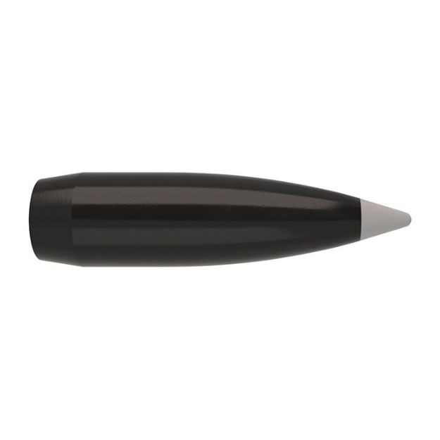 Picture of Nosler Bullets 338 Cal .338 200Gr Ballistic Silver Tip 50C
