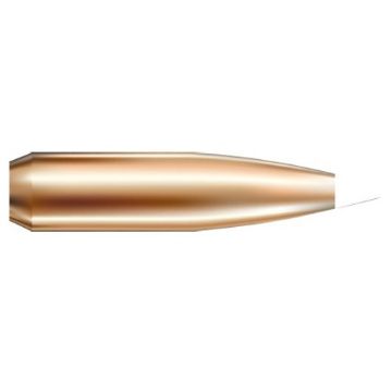 Show details for Nosler Bullets 6Mm .243 90Gr Accubond 50Ct Picture of Nosler Bullets 6Mm .243 90Gr Accubond 50Ct