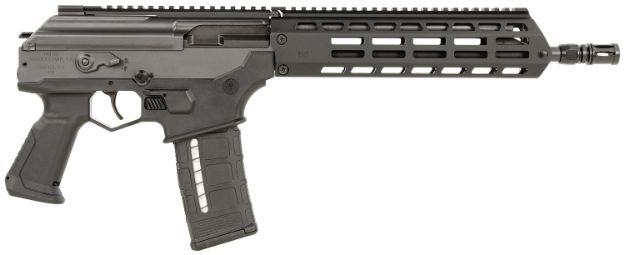 Picture of IWI GAP28 GALIL ACE G2 556 PSTL 13" 30R