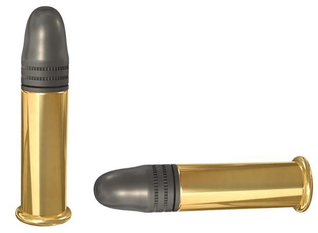 Picture of SK 420137 22LR HV MATCH 40GR 50/100