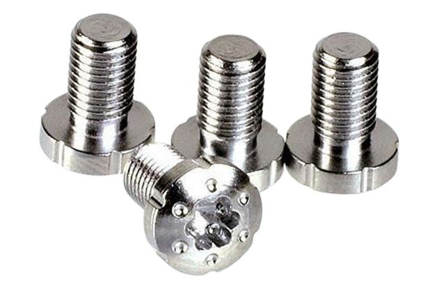 Picture of SI 1911TS-SS 1911 TORX SCREWS