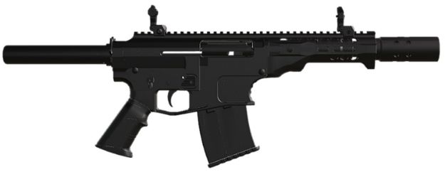 Picture of DERYA DY12Y.11.US DY12Y 12GA 5RD FIREARM 11"