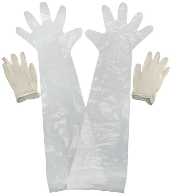Picture of ALLEN 51 FIELD DRESSING GLOVES 2PK