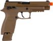 Picture of SIG AIRPFM17 PROFRC M17 6MM C02 COY