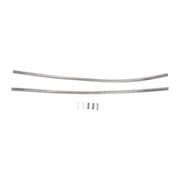 Picture of 22 Arc Spring Kit