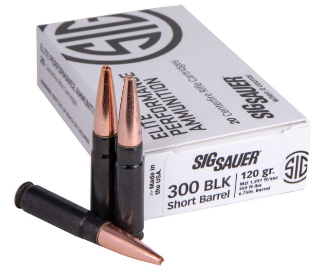 Picture of 300 Aac Blackout 120Gr Solid Copper 20/Box