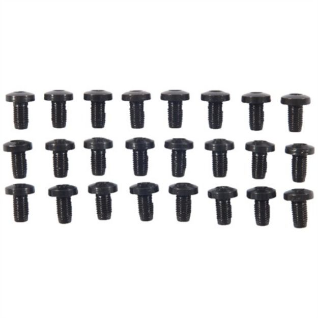 Picture of 24 Pack H/H Blue Screws