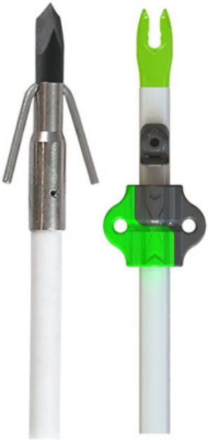 Picture of Muzzy Fish Arrow W/Gar Point Nock & Bottle Slide 1Ea