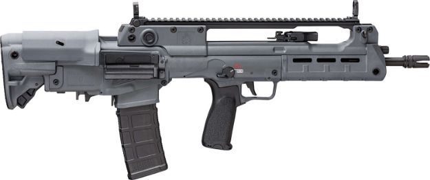 Picture of Hellion 5.56 Gry 16" 30+1