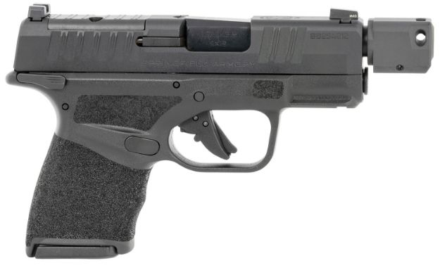 Picture of Hellcat Rdp 9Mm Bk Ns 10+1 Ms